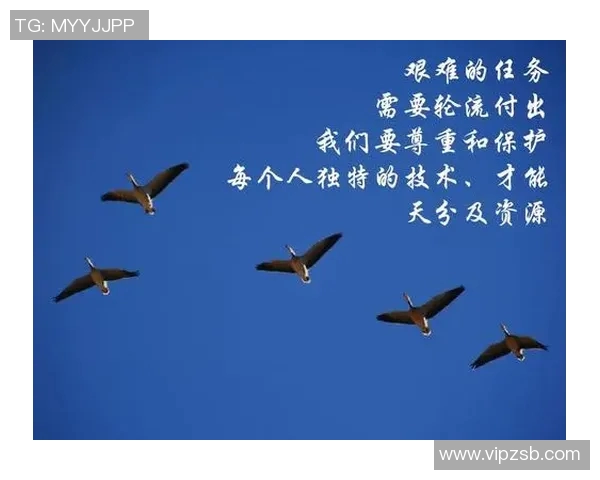 专访李强揭秘排球成功秘诀与团队精神的完美结合